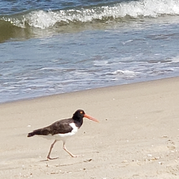 Meet your Posher, Stan - Picture 8 of 12